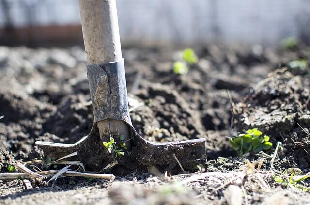 entretien espaces verts bechage et binage